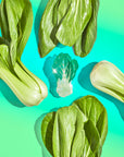 Bok Choy Hair Claw Clip