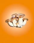 Shiitake Hair Claw Clip