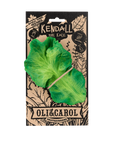Kendall the Kale Teething Toy by Oli and Carol