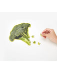 Little Puzzle Thing - Broccoli by Areaware