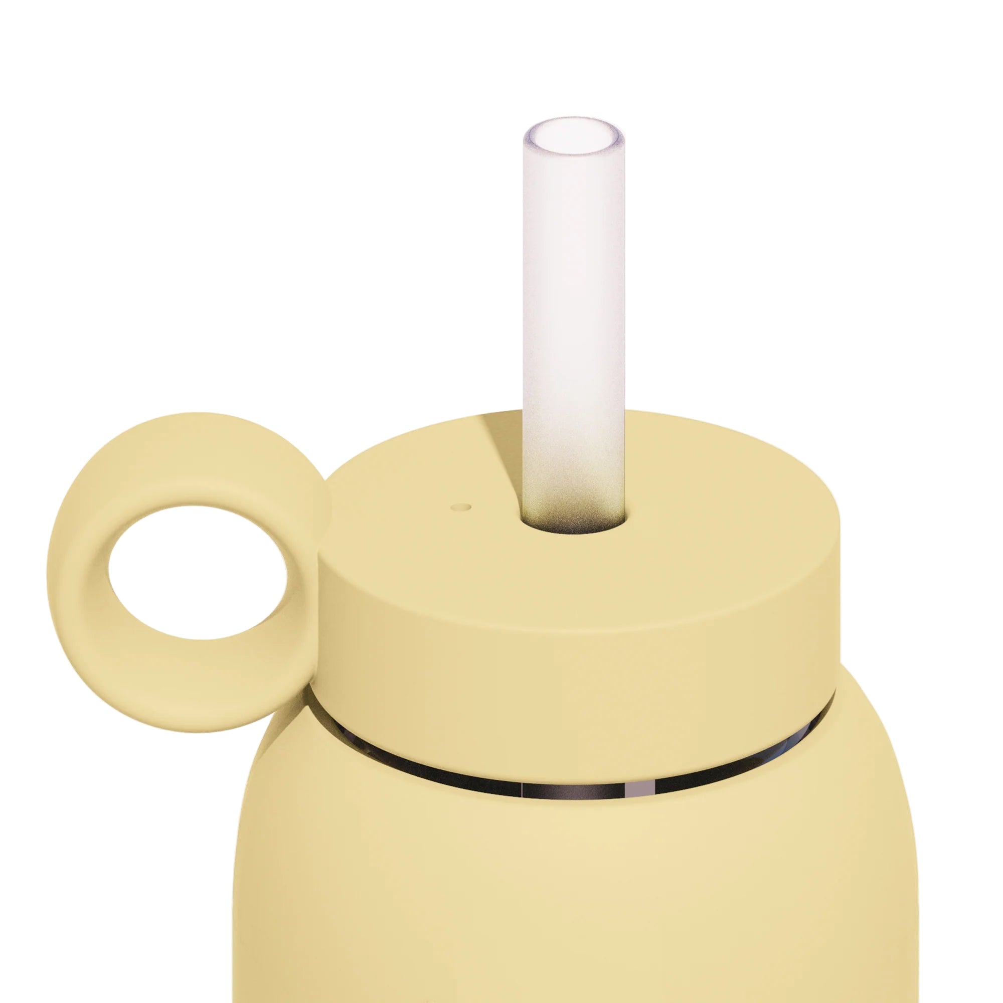 Straw & Carry Cap 21 oz Day Bottle Water (more colors) – Mochi Kids