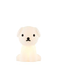Snuffy Bundle of Light Lamp