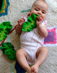 Kendall the Kale Teething Toy by Oli and Carol