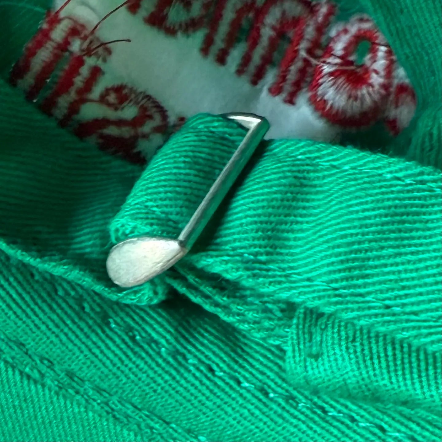 Tomato Basil Foodie Adult Dad Hat  by The Silver Spider