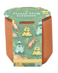 SALE Tiny Terracotta Pet Grow Kits by Modern Sprout