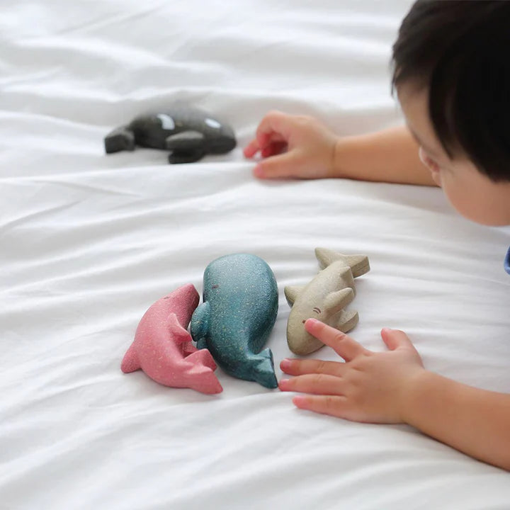 Sea Life Set by Plan Toys