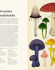 Fungarium: Welcome to the Museum Book by Kathy Willis and Katie Scott