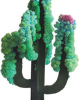Crystal Growing Saguaro Cactus