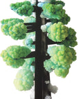Crystal Growing Giant Sequoia by Copernicus Toys