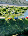 PlanWorld Cars by Plan Toys