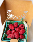 Beeswax Raspberry Birthday Candles by Happy Organics
