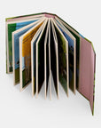 A Family of Trees: My First Book of Forests by Peggy Thomas & Cookie Moon