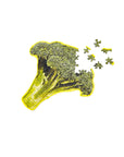 Little Puzzle Thing - Broccoli by Areaware