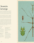 Insectarium: Welcome to the Museum Book by Dave Goulson & Emily Carter