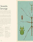Insectarium: Welcome to the Museum Book by Dave Goulson and Emily Carter