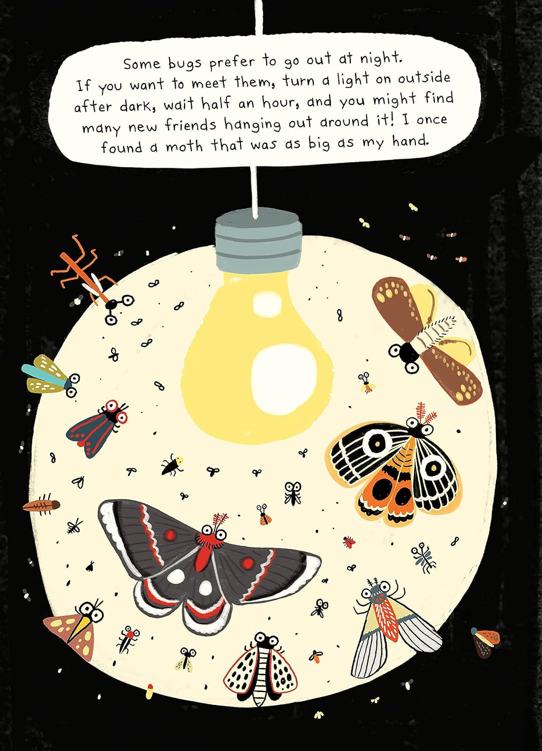 The Bug Club Hardcover Book by Elise Gravel