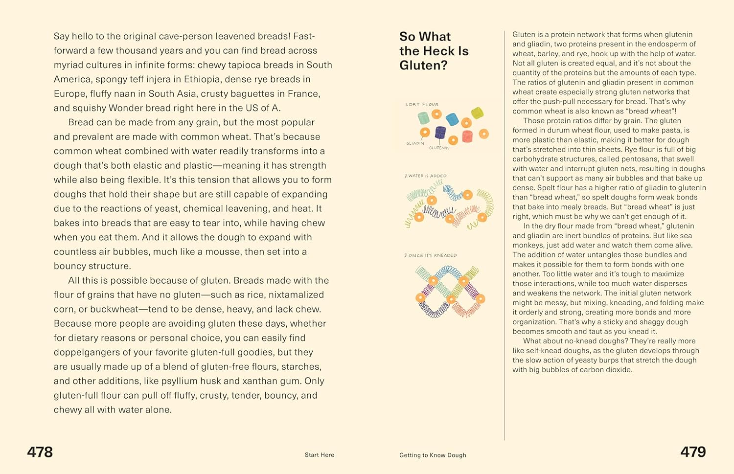 Start Here: Instructions for Becoming a Better Cook by Sohla El-Waylly