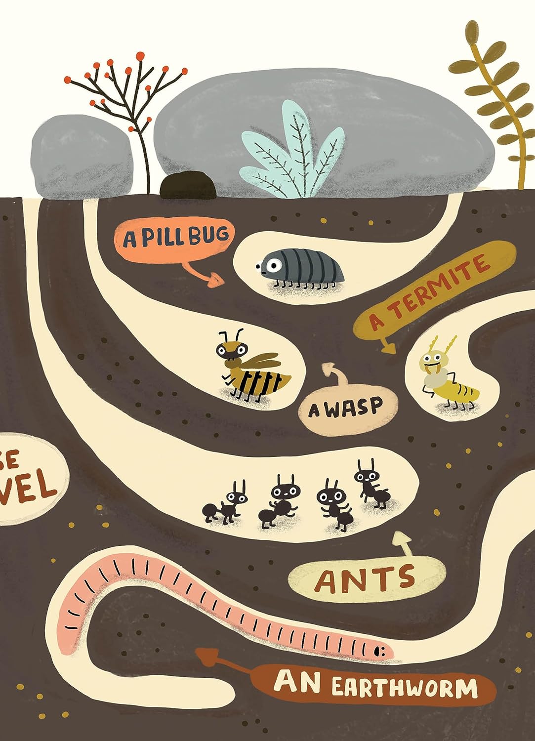 The Bug Club Hardcover Book by Elise Gravel