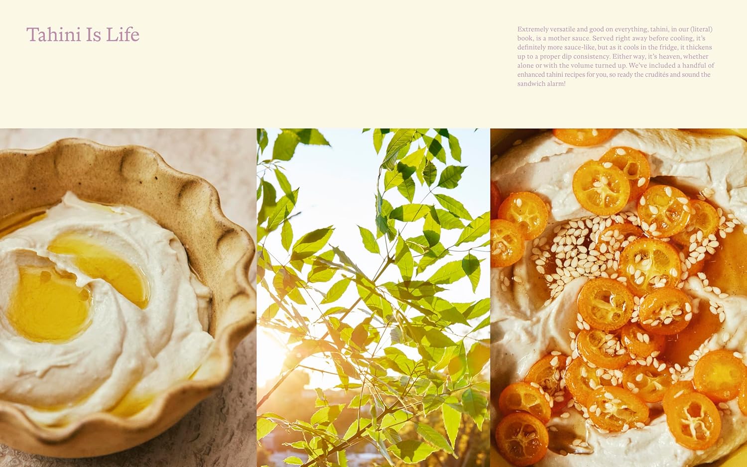 Kismet Cookbook by Sara Kramer & Sarah Hymanson