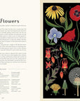 Botanicum: Welcome to the Museum Book by Kathy Willis and Katie Scott