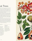 Botanicum: Welcome to the Museum Book by Kathy Willis and Katie Scott