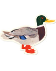 Mallard Sticker