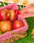Mini Red Apple Hair Claw Clip