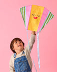 Funny Faces Pocket Kites
