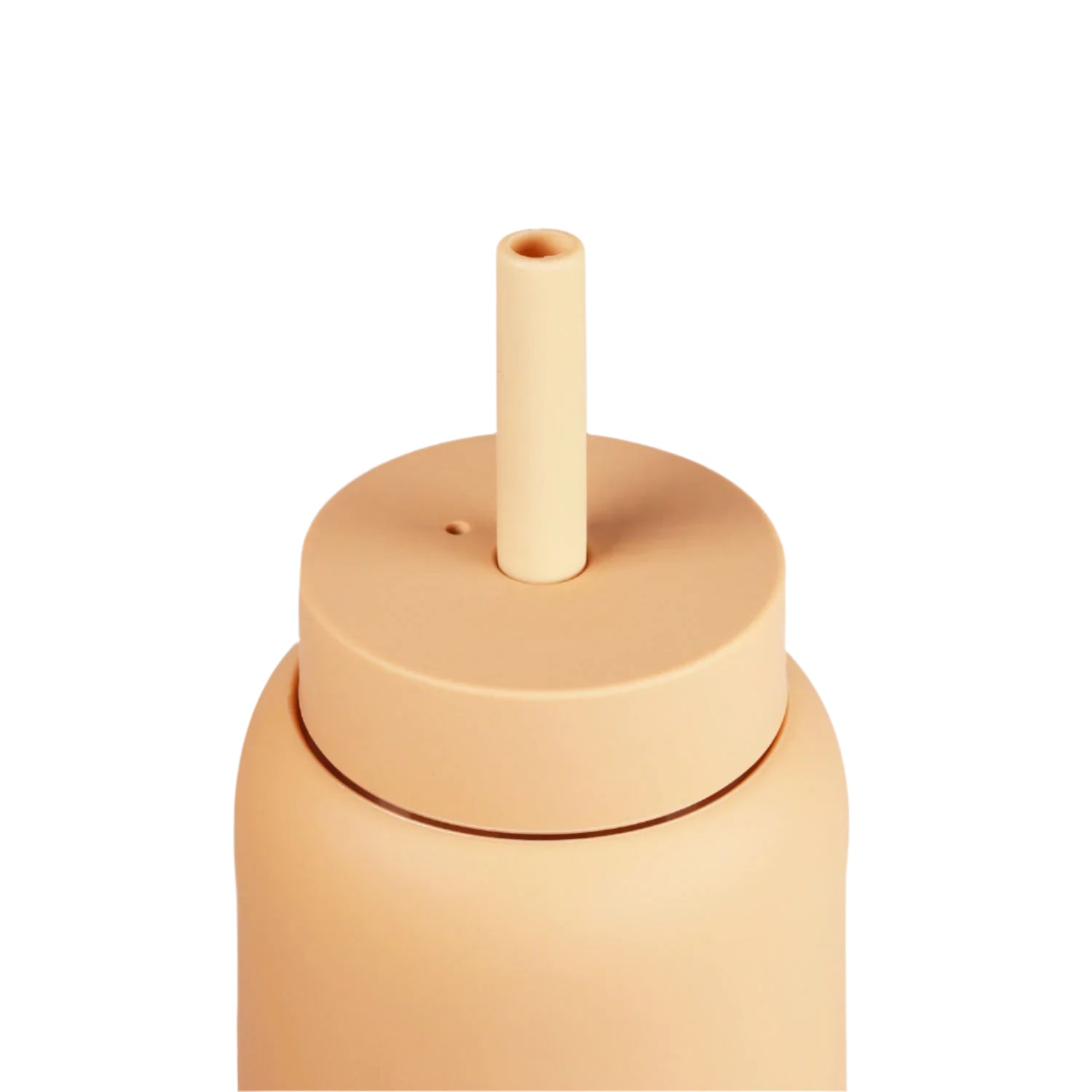 SALE Mini Lounge Straw + Cap by Bink