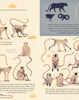 Mad About Monkeys Book by Owen Davey