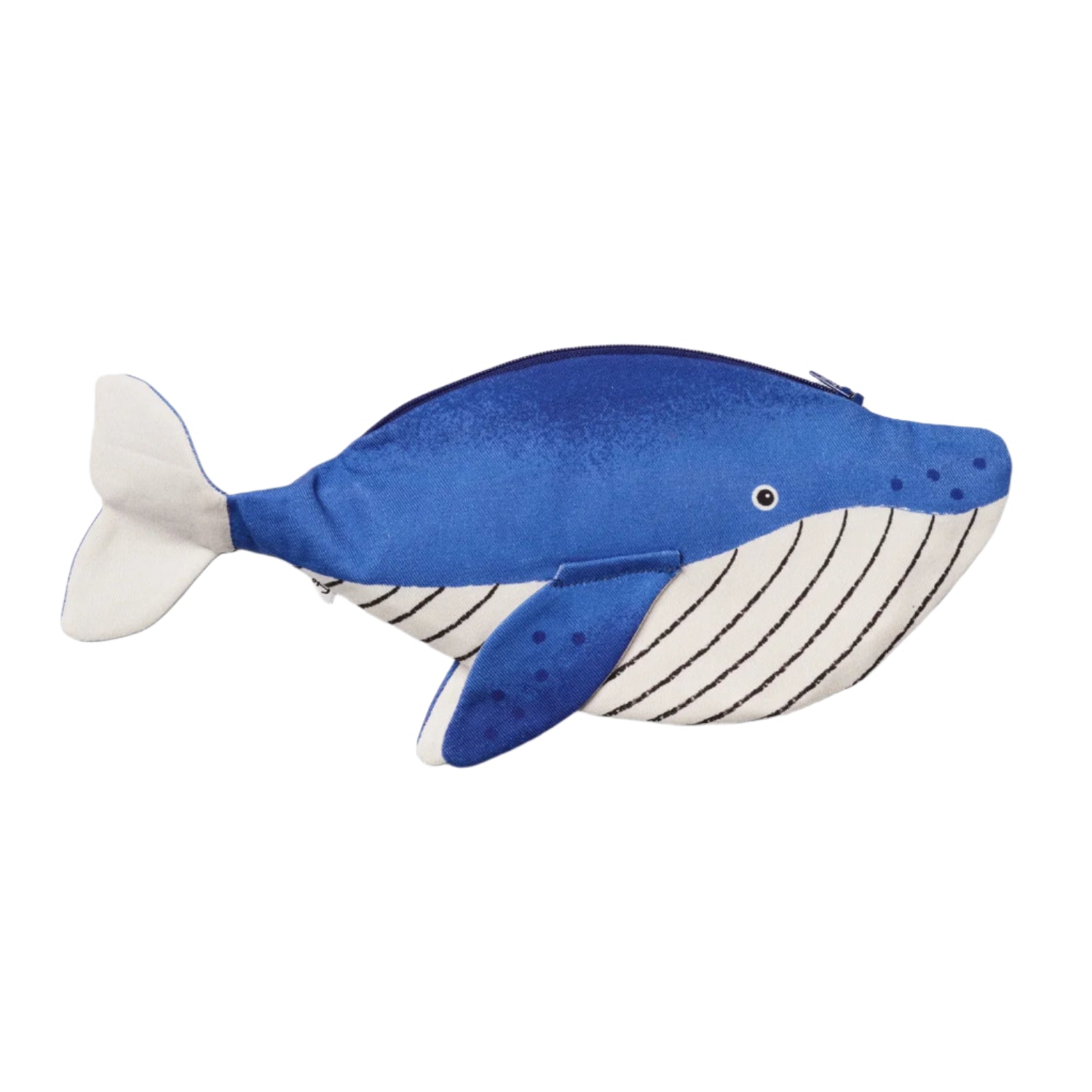 Minke Whale Case by Don Fisher