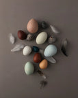 A Dozen Bird Eggs In a Box by Moon Picnic