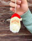 Pom Pom Santa Decoration Kit