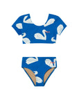 Big Swans Swim Set