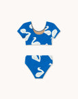 Big Swans Swim Set