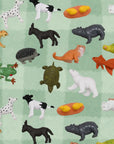 Adopt A Pet Mini Mystery Animal