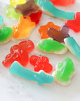 Colorful Animals Mix Gummies by La boîte à bonbons