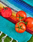 Tomato Hair Claw by Jenny Lemons