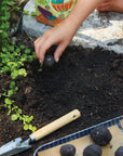 DIY Seed Ball Kit