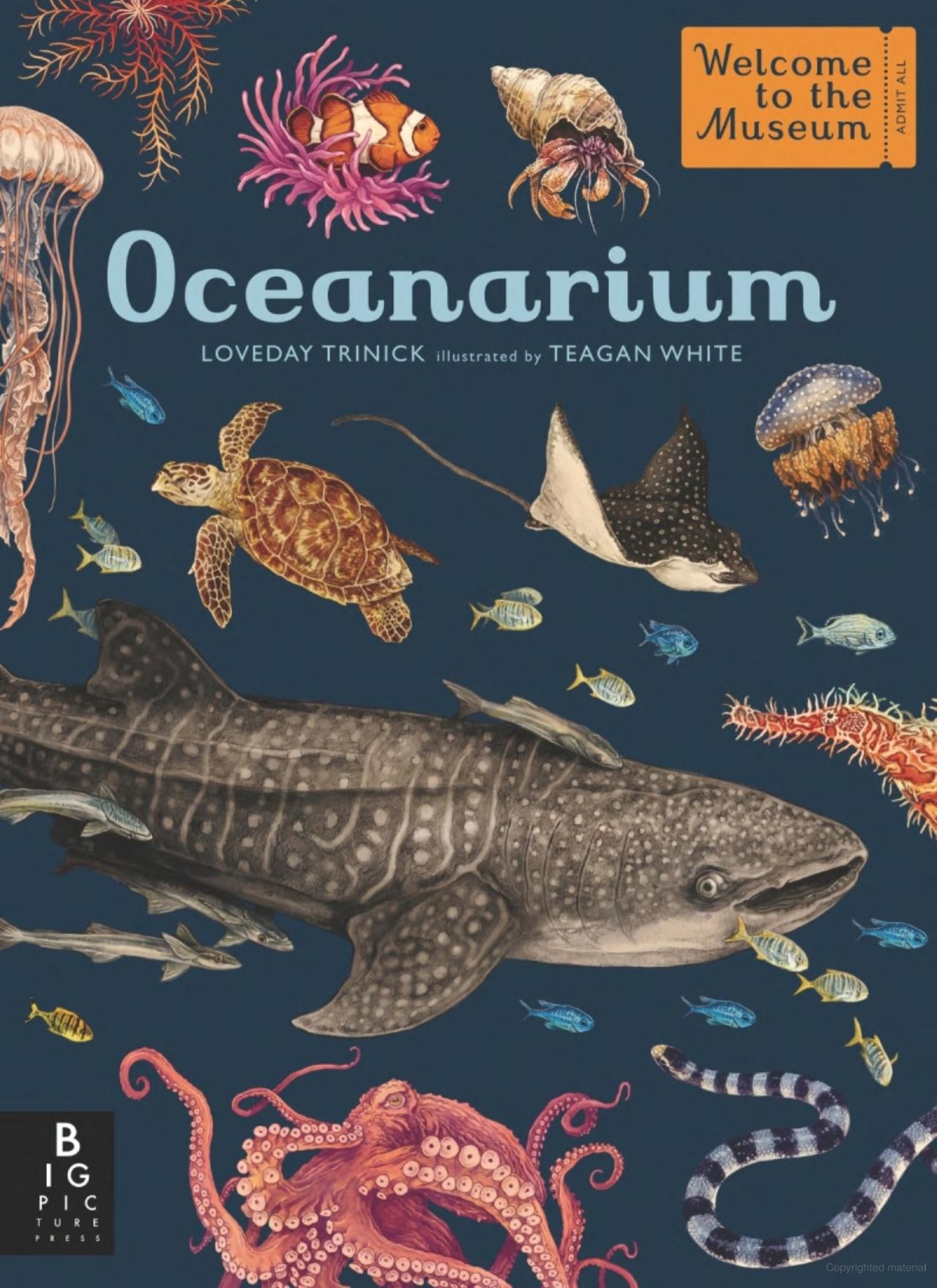 Oceanarium: Welcome to the Museum Book by Loveday Trinick and Teagan White