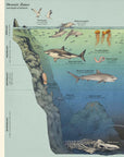 Oceanarium: Welcome to the Museum Book by Loveday Trinick and Teagan White