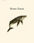 Oceanarium: Welcome to the Museum Book by Loveday Trinick and Teagan White