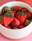 Strawberry Alligator Hair Clip Set by Jenny Lemons