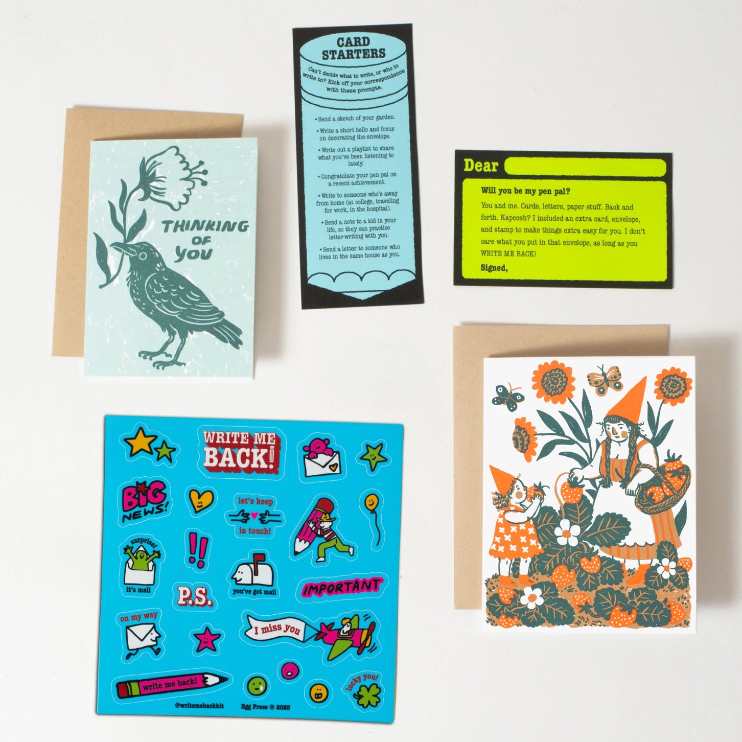 Strawberry + Crow Write Me Back Pen Pal Kit by Egg Press