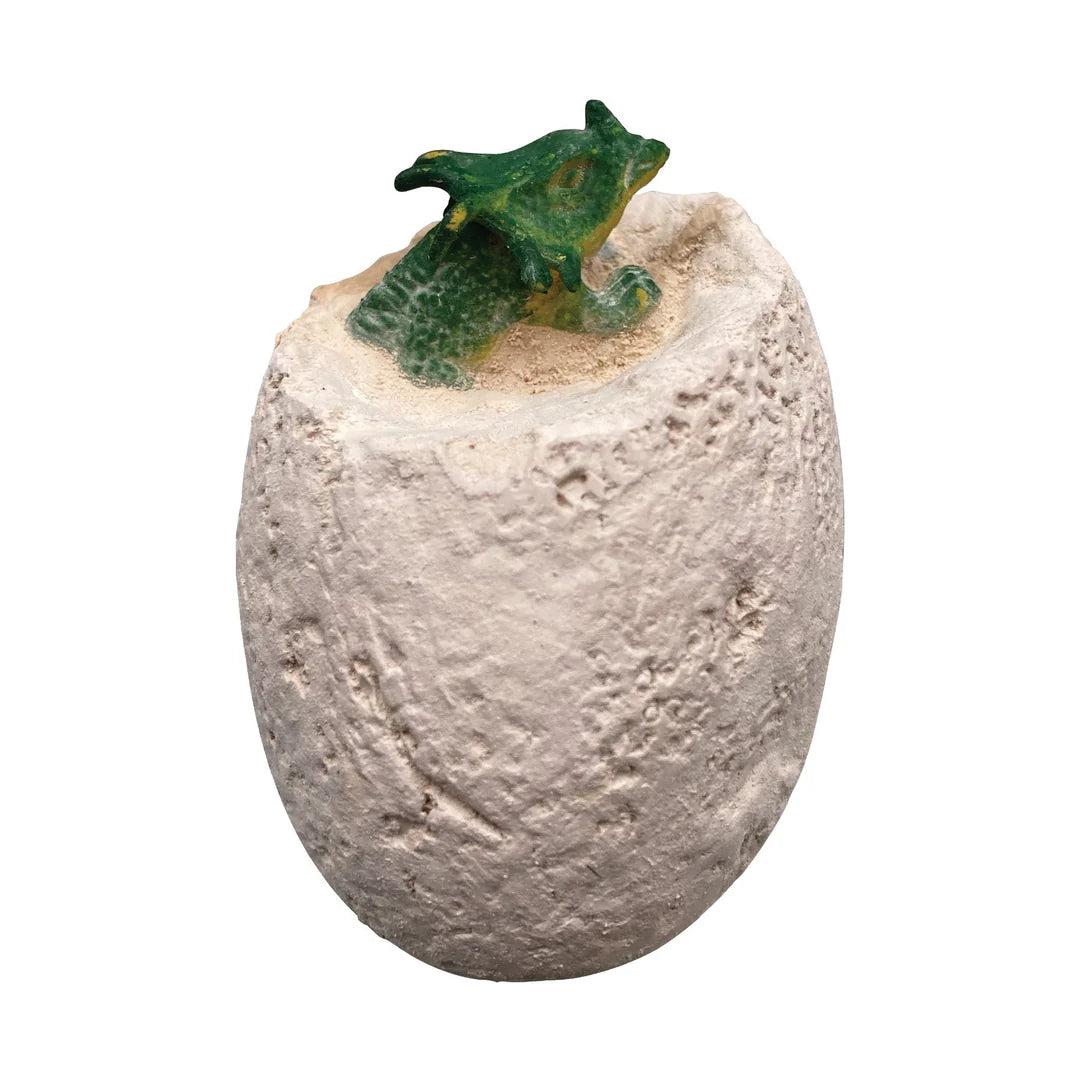 A dinosaur half excavated from a egg shape "rock"