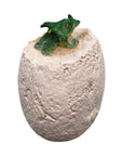A dinosaur half excavated from a egg shape "rock"