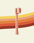 Replacement Heads for Happ E-Brush