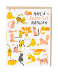 Birthday Purr-fect Cats Card by Hello!Lucky