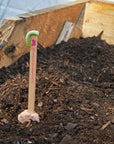 Pollinator Seed Pop