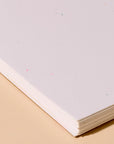 Gummy Fish Letterpress Doodlebook